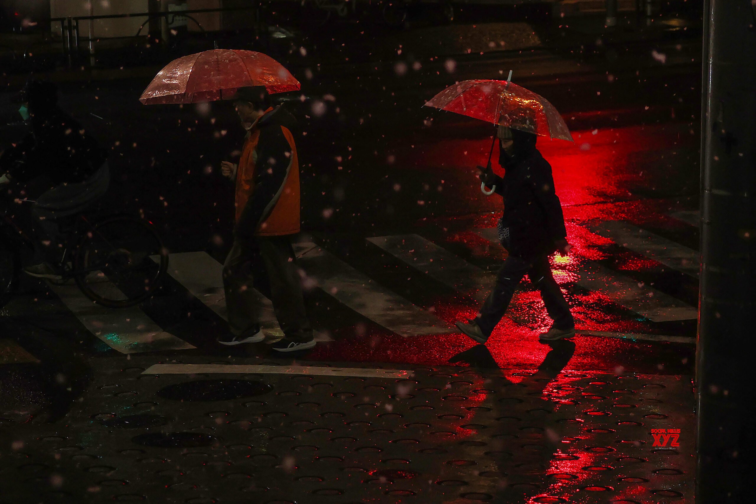 First Snowfall of 2026 in Tokyo #Gallery