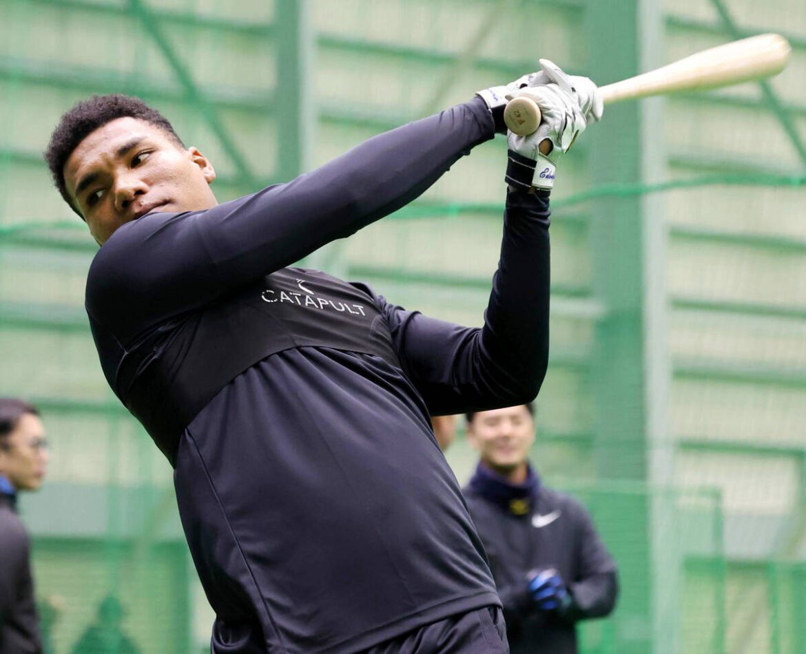 新人合同自主トレでティー打撃するエドポロケイン　（カメラ・越川　亙）