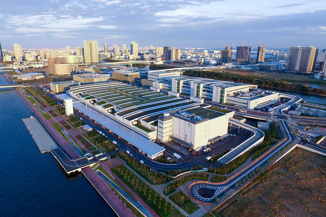 No other market in the world handles as much tuna each day as Toyosu. (© Uzawa Akihiko)