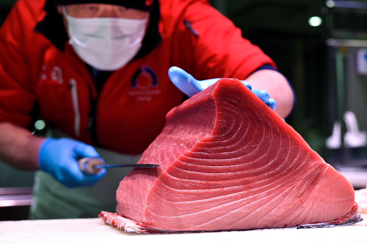 The prized hara-kami cut of the tuna. The white fat is glorious to behold. (© Uzawa Akihiko)