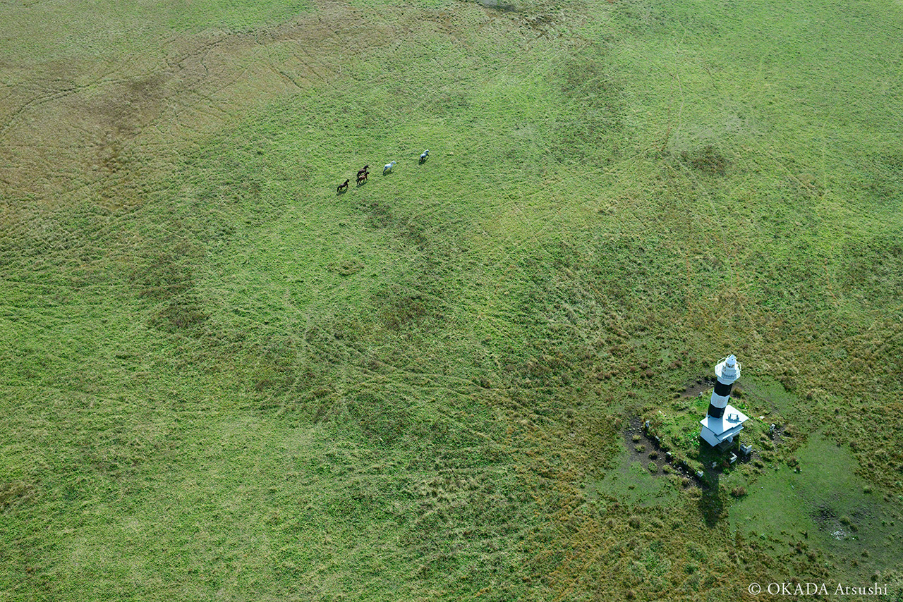 Horse paths spread out from the lighthouse like the veins of a leaf, October 2014. (© Okada Atsushi)