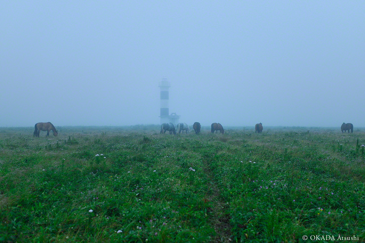 Summers are shrouded in fog, August 2013. (© Okada Atsushi)