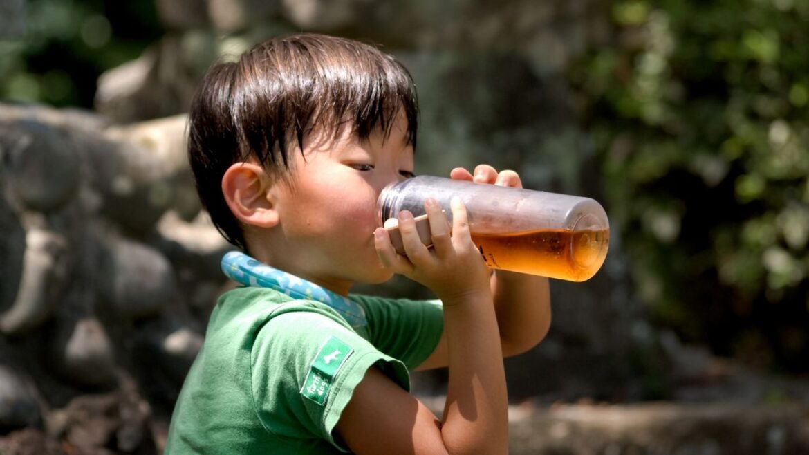 Japan Records Third Hottest Year Ever in 2025 Japan Records Third Hottest Year Ever in 2025