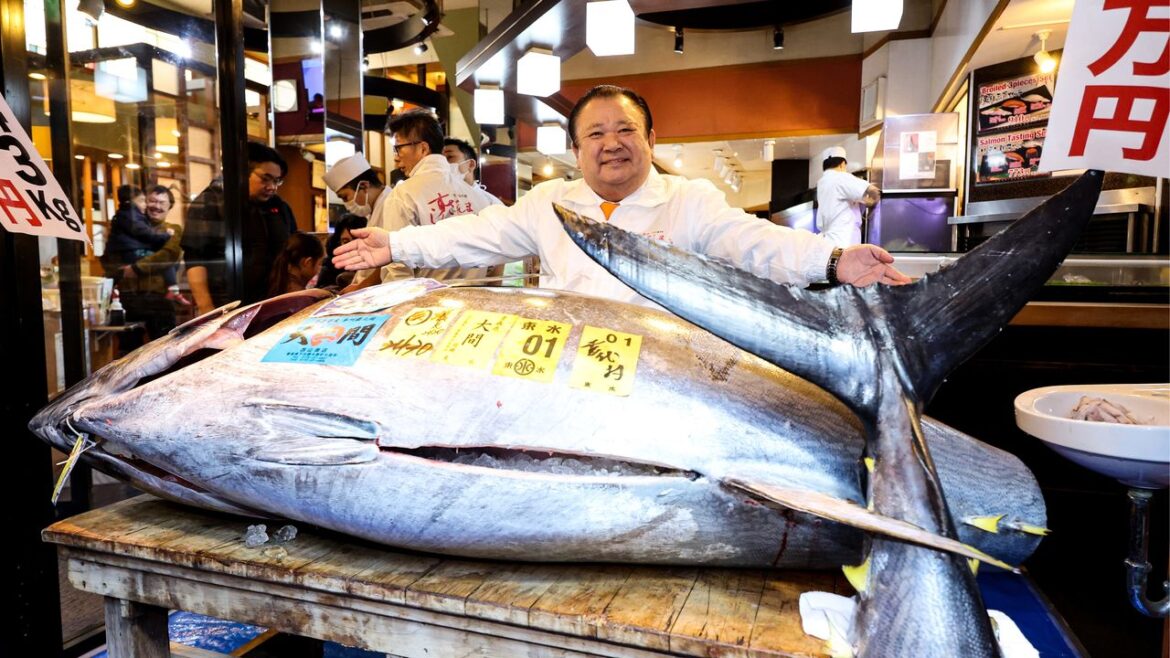 The ¥500-Million Tuna: Record Price Set at Japan Fish Market’s New Year Auction