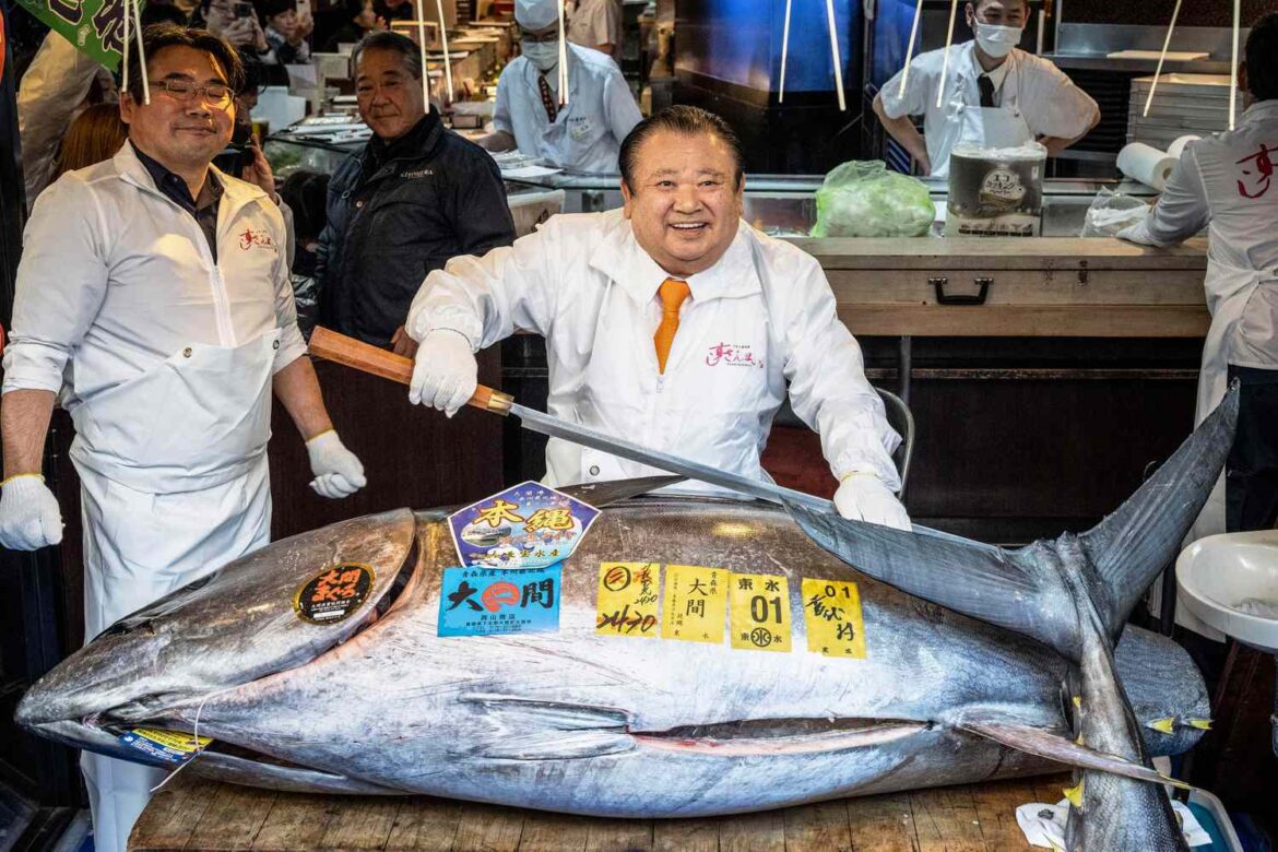 What Drives the Price of a Bluefin Tuna to $3.2 Million?