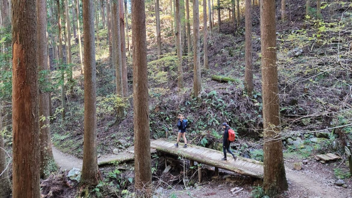 Kumano Kodo family hike: How we tackled Japan’s sacred trail with teens