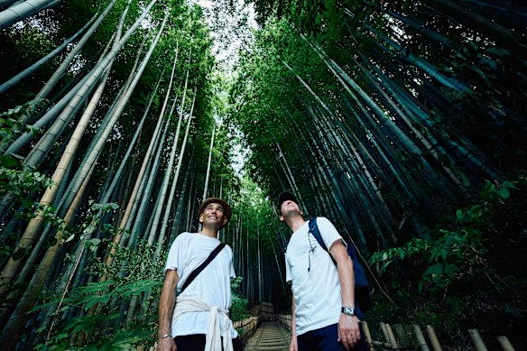 Samurai Town and mushroom foraging tour.