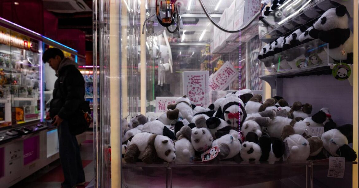 The last 2 pandas in Japan are leaving for China as ties are strained | National News