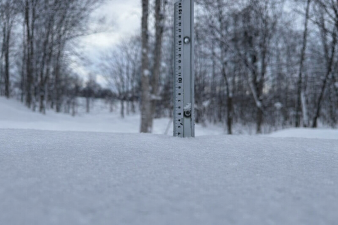 Chatgpt Image Jan 16, 2026, 07 42 12 Am