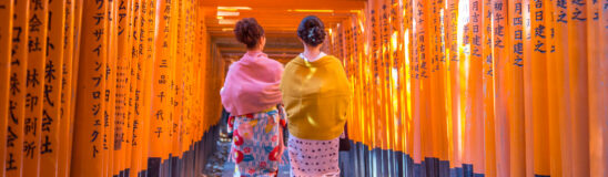 Contiki culture hubs: Japanese culture edition