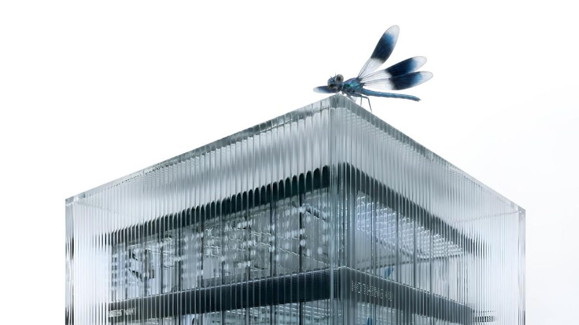 Nothing’s first retail store opens on Feb 14 in India, plans New York City and Tokyo next