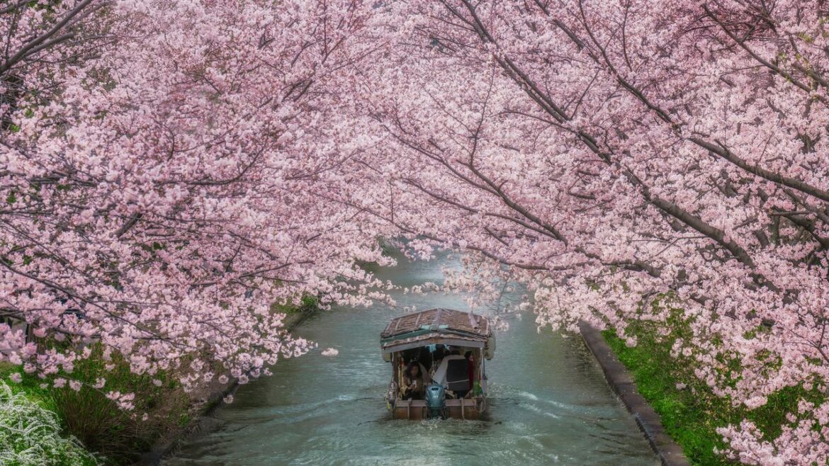 Japan visa: 7 other countries you can visit as an Indian passport holder with a Japan visa