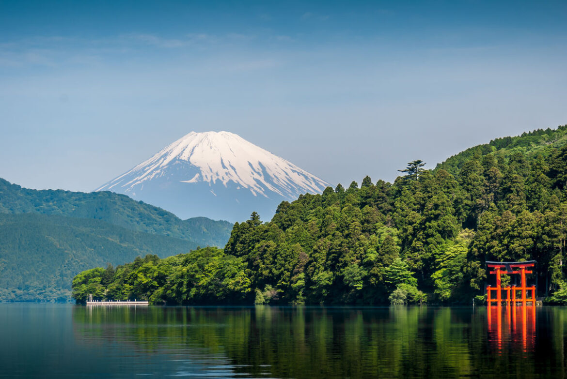 Fora's 2026 List Shows High Demand for Nordics, Japan, Pet Travel and More