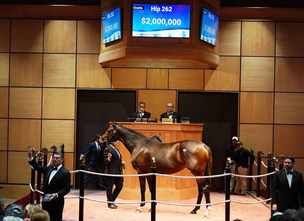Seven-Figure Into Mischief Colt Debuts at Kyoto