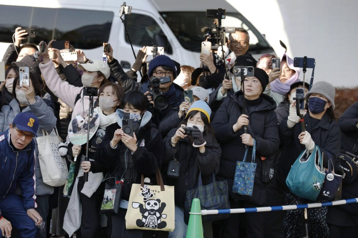 Japan's last pair of pandas have arrived back in China