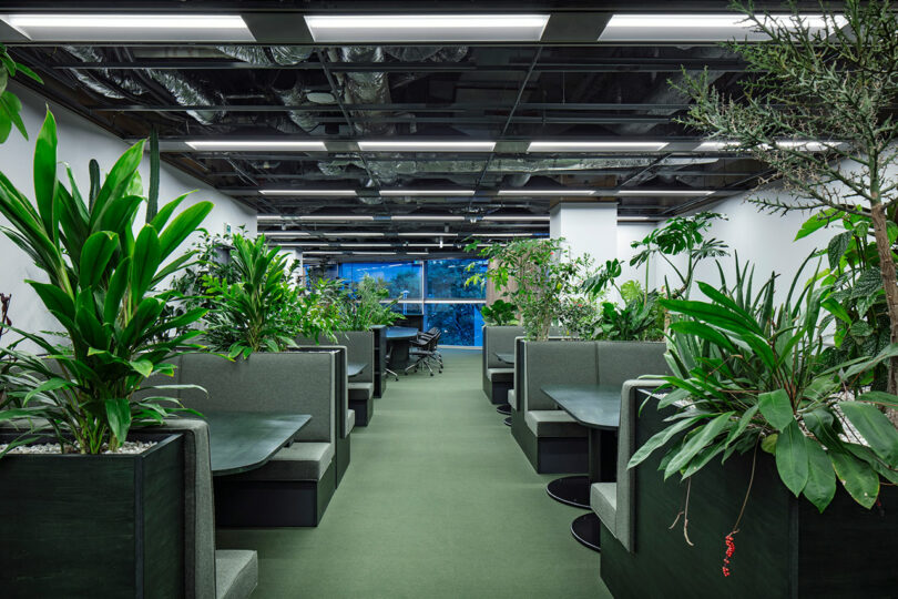 Modern office space with green booth seating, tables, and abundant indoor plants lining both sides; large windows at the far end provide natural light.