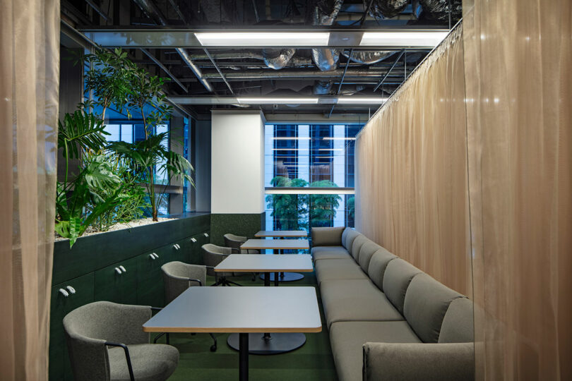 Modern office lounge area with a long gray sofa, small tables, chairs, indoor plants, and sheer curtains; large windows reveal city buildings outside.