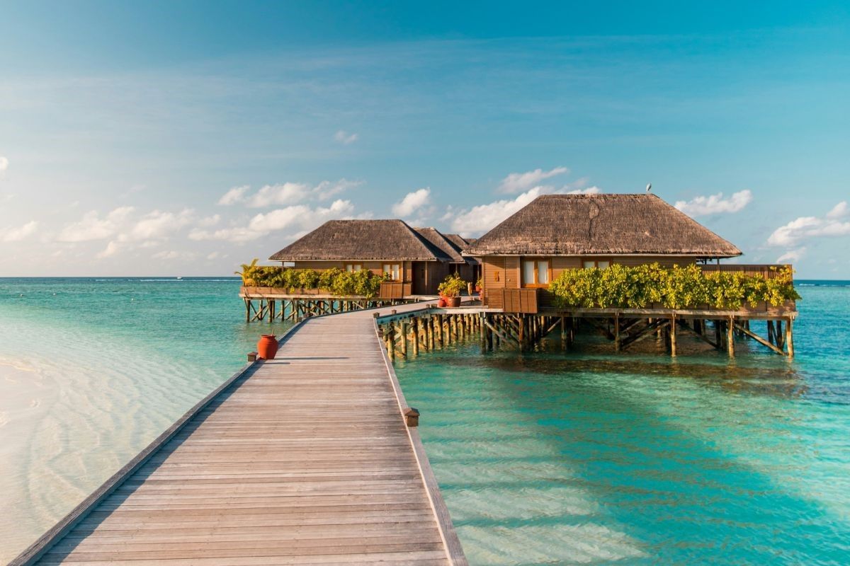 Photo source: Unsplash 