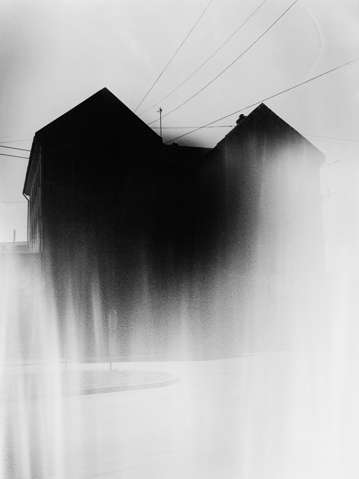 Theo Elias "Poppy" （Photo Gallery & Photobooks Cafe Aquta） ｜Tokyo Art Beat