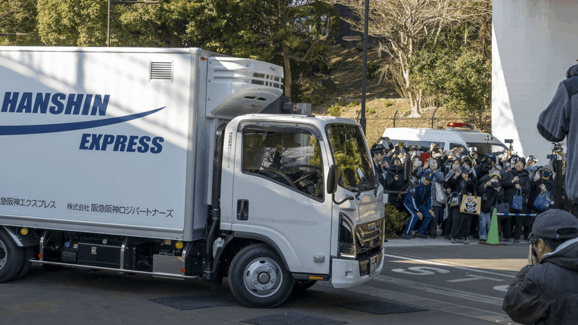 Tokyo bids farewell to pandas as pair returns to China