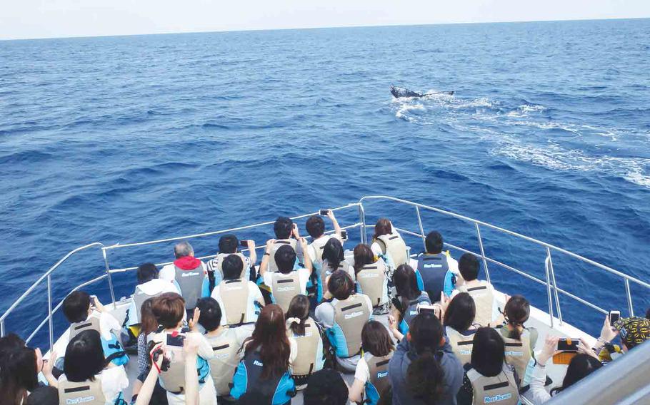 Many passengers on boat for whale watching.