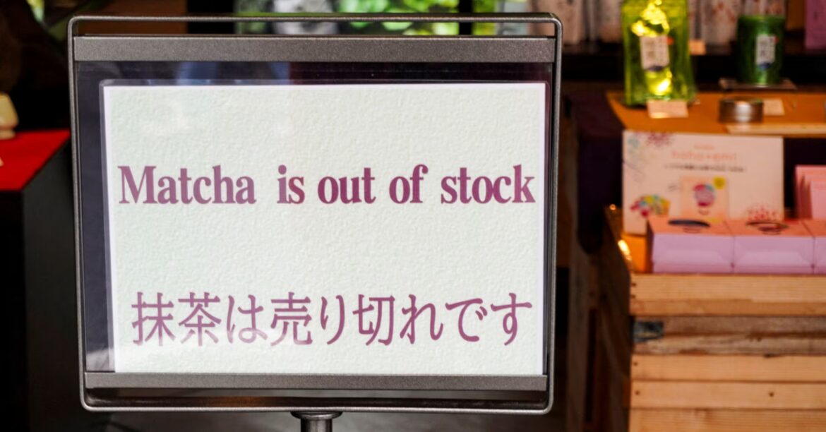 Japan's heat-stressed matcha tea output struggles to meet soaring global demand