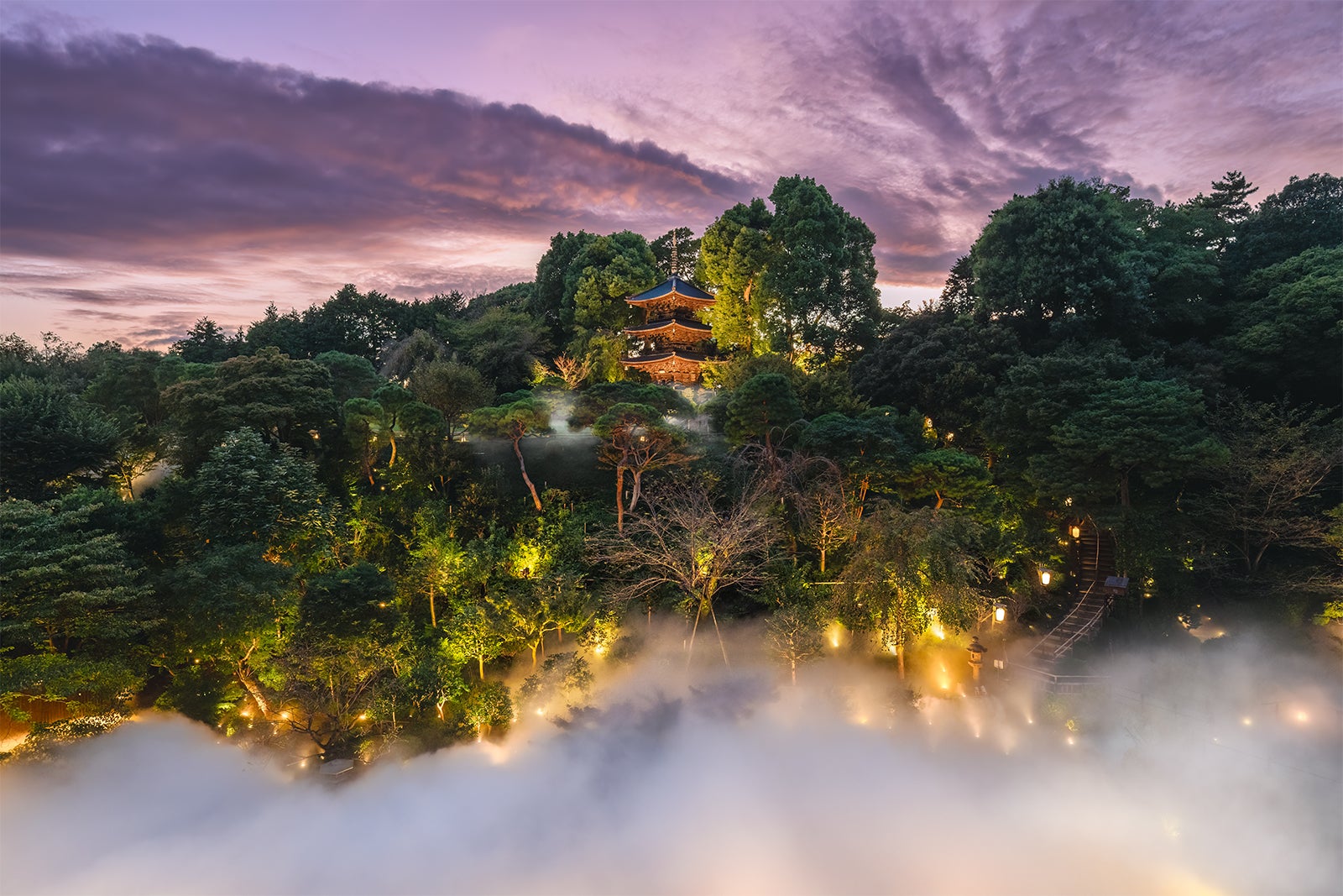 A view of the garden