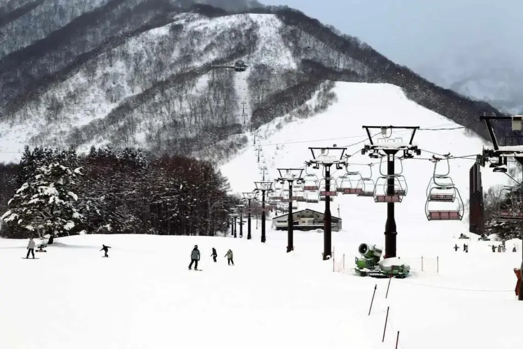 Foreign snowboarder in Japan in serious condition after hanging in midair from chairlift Subscribe Placeholder