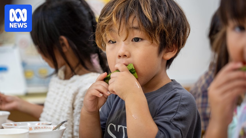 Japan’s journey from unlicensed ‘baby hotels’ to delivering restaurant-quality childcare food Japan's journey from unlicensed 'baby hotels' to delivering restaurant-quality childcare food