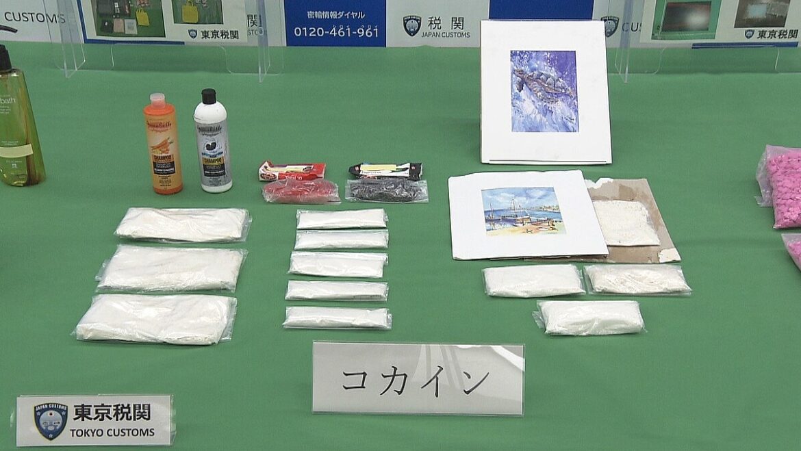 Cocaine-related arrests, smuggling cases in Tokyo reaching new highs TokyoReporter