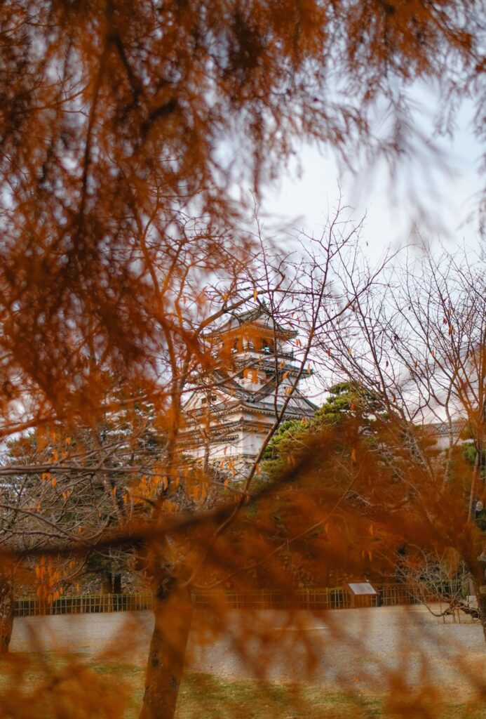 Kochi City in December