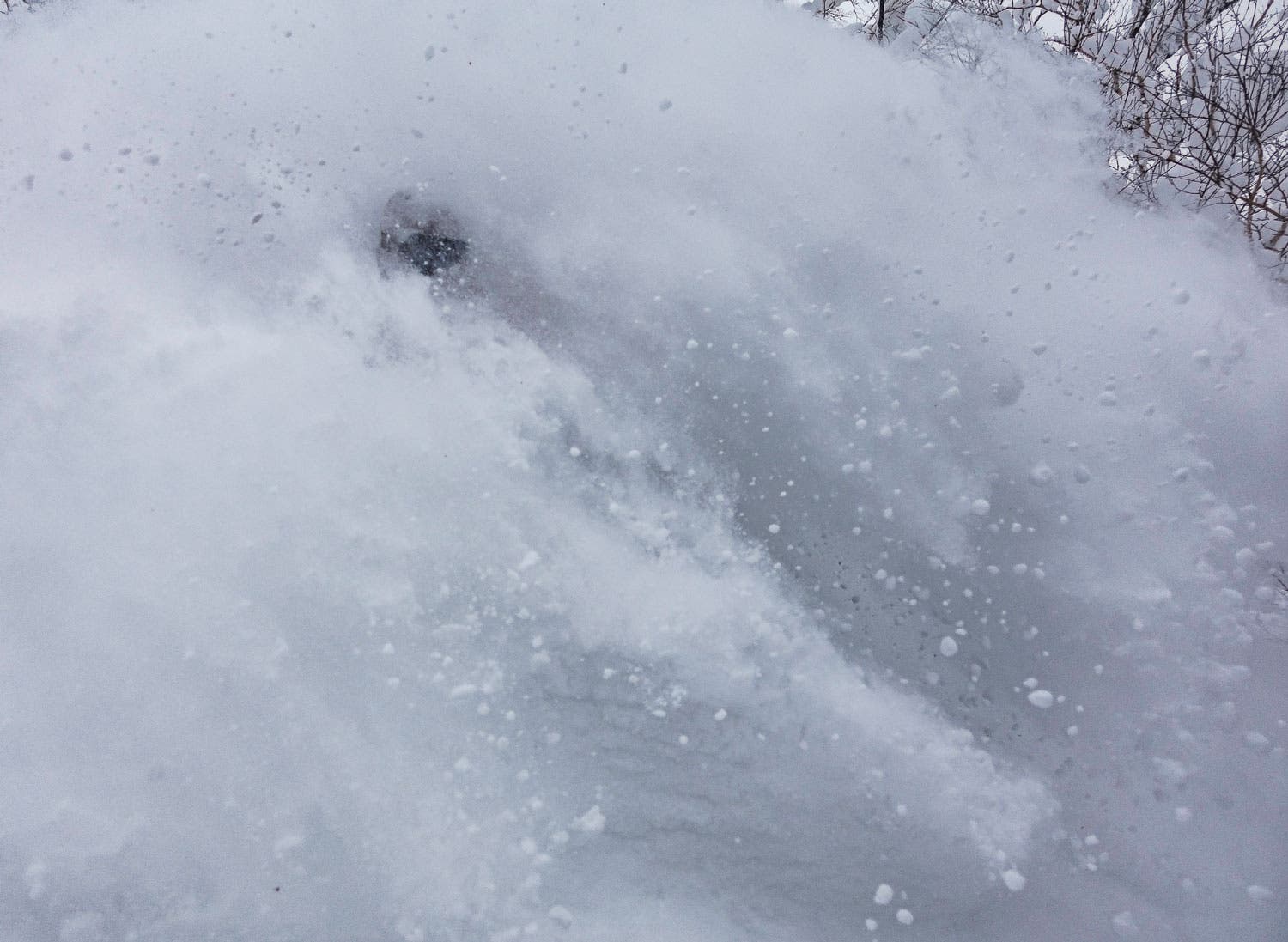 No caption necessary. Besides perhaps, “gaaaawwwwwwhhhhh.” Photo credit: Lucas Moore, SASS Global Travel