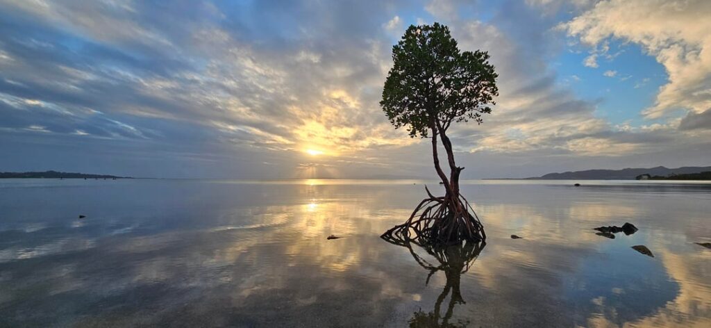 Some of my favorite shots from my trip (part 2) Some of my favorite shots from my trip (part 2)