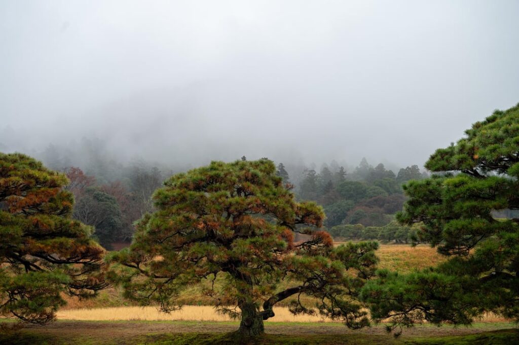 The mist and rain borrowed the borrowed scenery at the Shugakuin Imperial Villa.