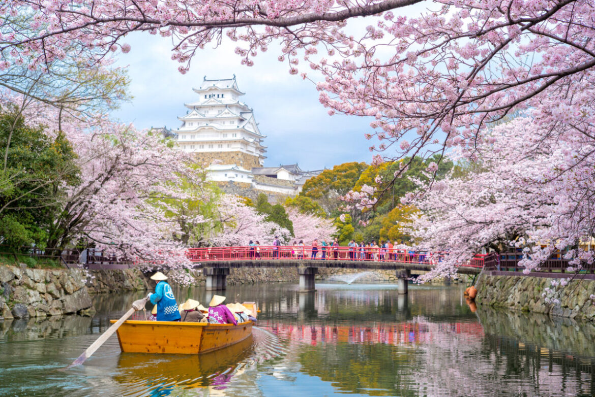 Wendy Wu Tours celebrates Japan Cherry Blossom season