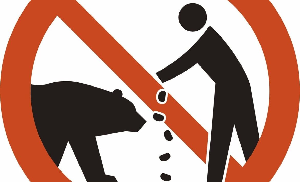 Japan's Tourism Agency issues bear-warning pictogram signs