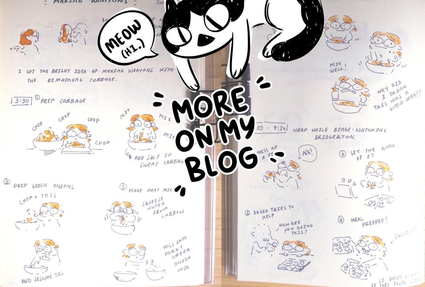 Sammi Zhang's Graphic Travelogue, Journaling Through Japan, For 2029