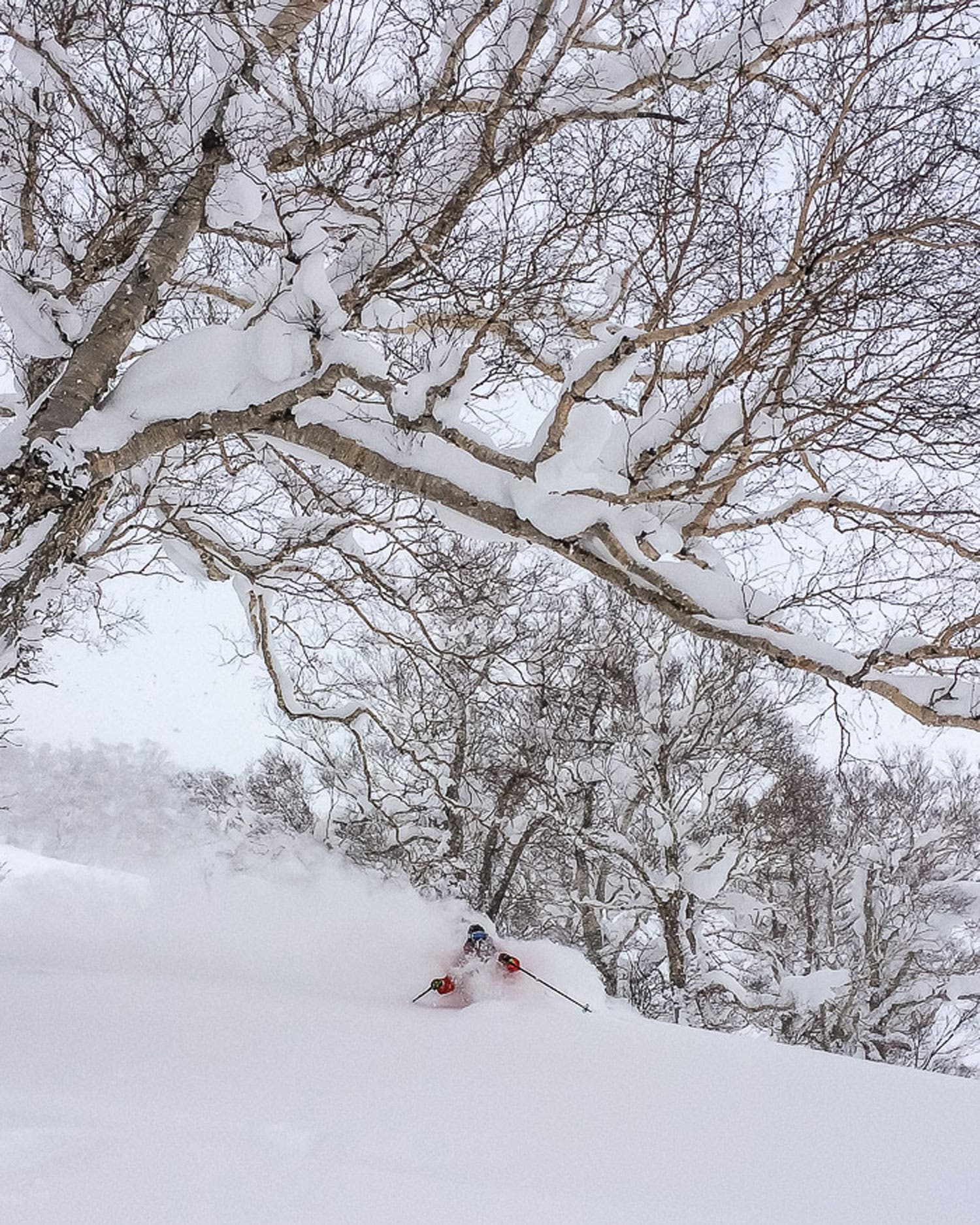 Caught in front of the lens rather than behind it, SASS’s quadruple-threat (program director/guide/photographer/ping-pong player) Lucas Moore flows…