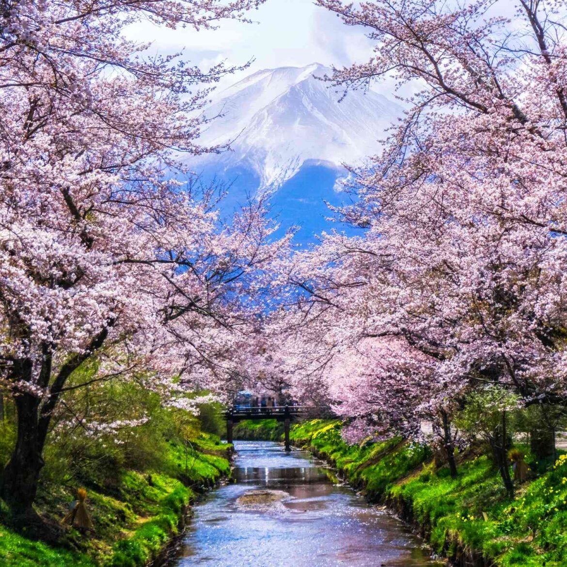 How to Plan a Romantic Honeymoon in Japan