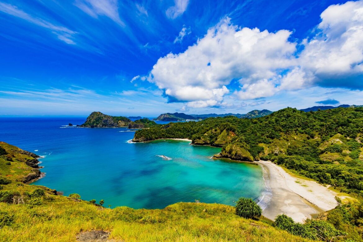 Cat Relocation Triggers Stunning Ecosystem Comeback In Japan – One Green Planet