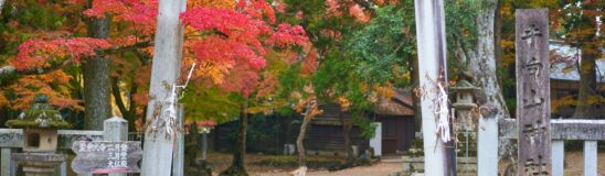 18 best places to visit in Japan