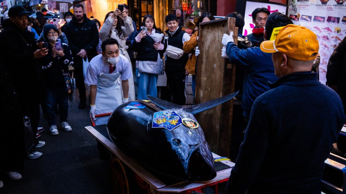 Bluefin tuna gets record $3.2 million at first Tokyo auction