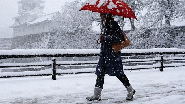 In some parts of Japan, the winter's snowfall has already surpassed double the annual average. 