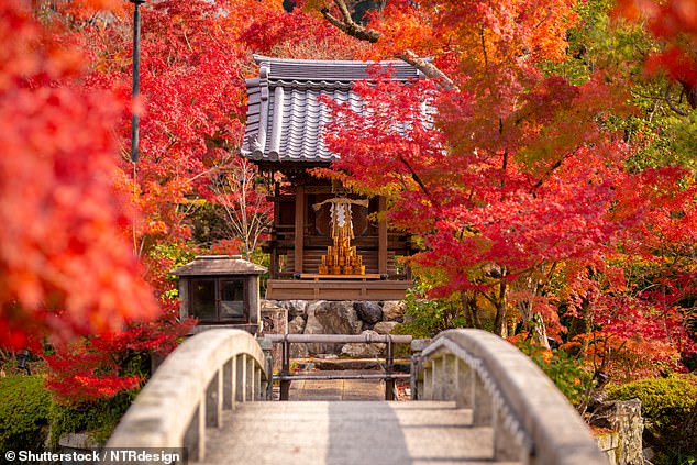 Aside from museums, Japan has plenty of other cultural and historic places to check out, including the Eikando Zenrinji Temple (pictured)
