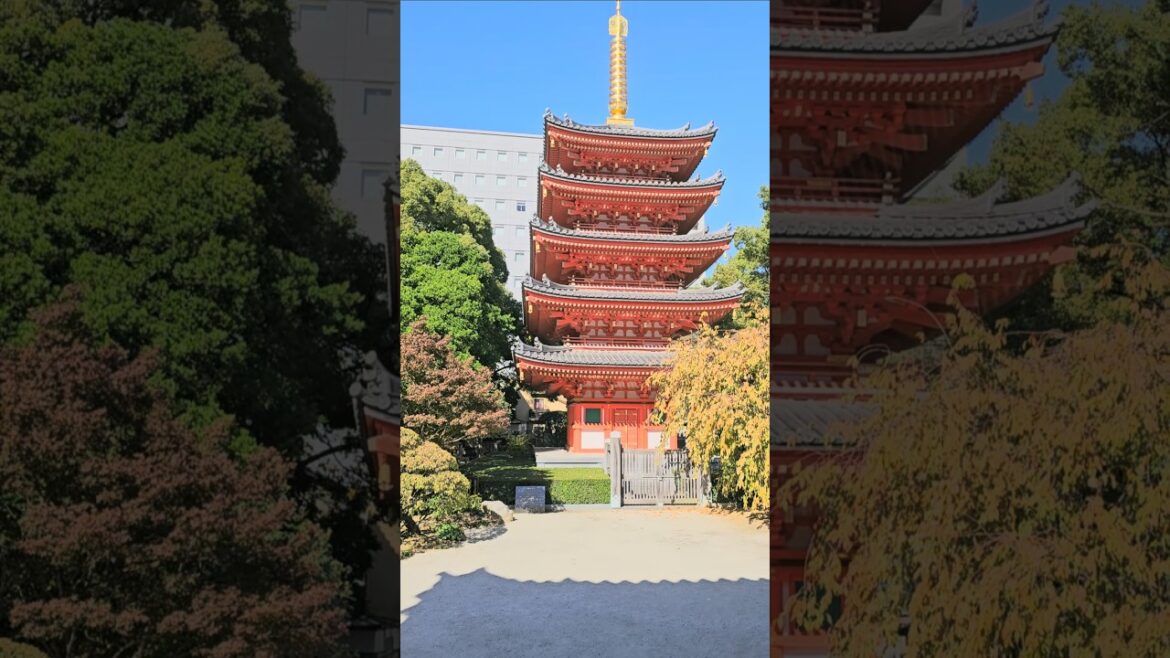 Hakata Old Town - Tochoji Temple #fukuoka #kyushu ##japan #travel #tourism