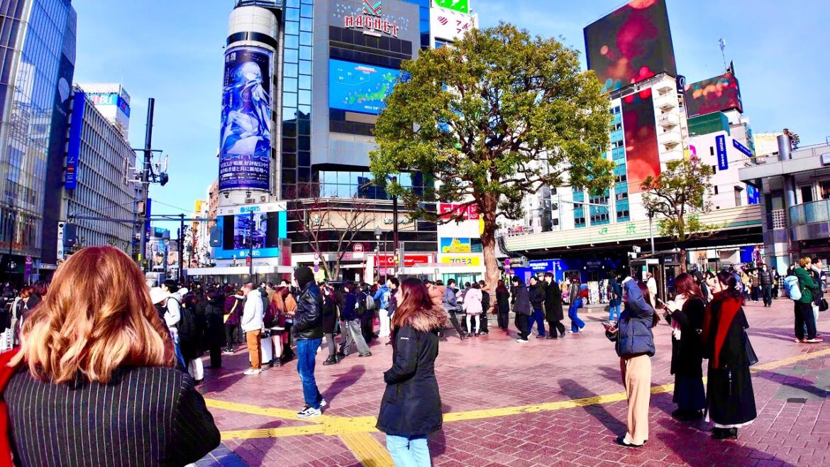 Shibuya city walking tour. Winter View of Shibuya / Harajuku . Tokyo, Japan.