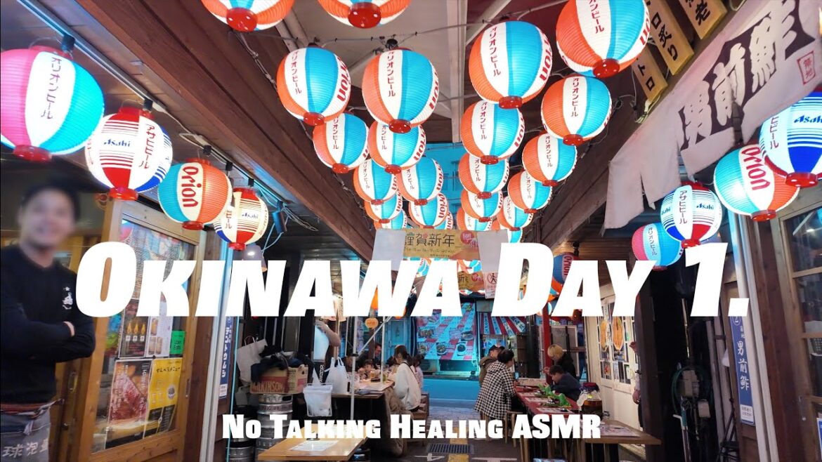 Okinawa Vlog🇯🇵 Day 1. Naha City Walk & Food Tour (No Talking / 4K / Healing / ASMR / Sleep / Study)