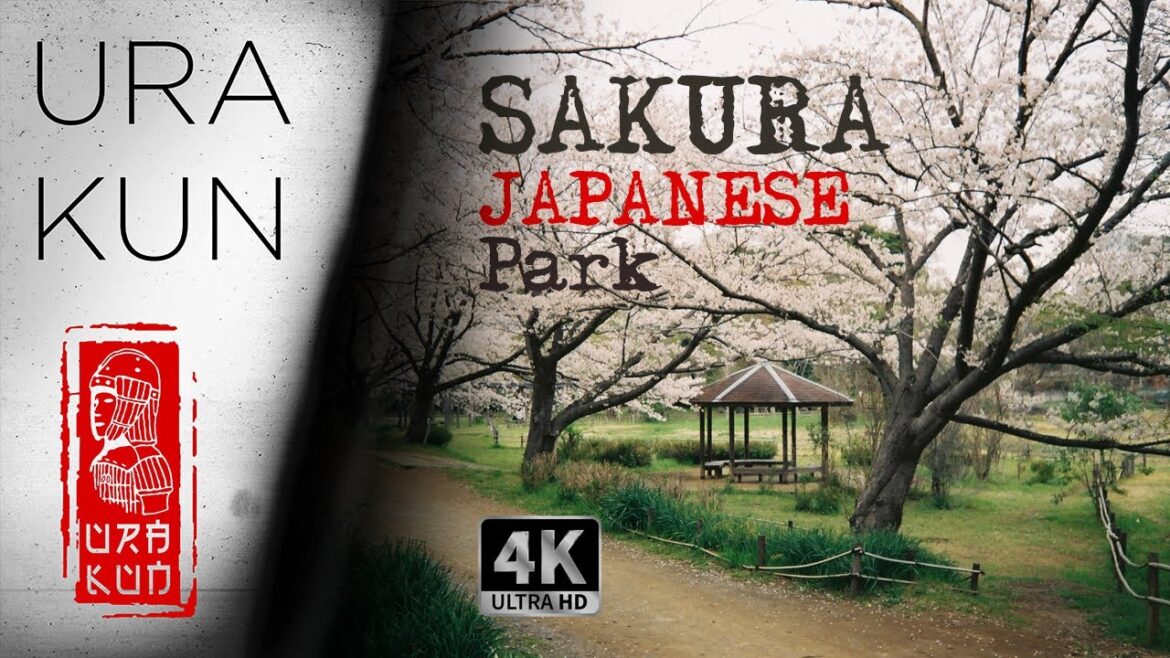 Japan, Chiba Prefecture, a walk in the city of Funabashi • 4K UHD