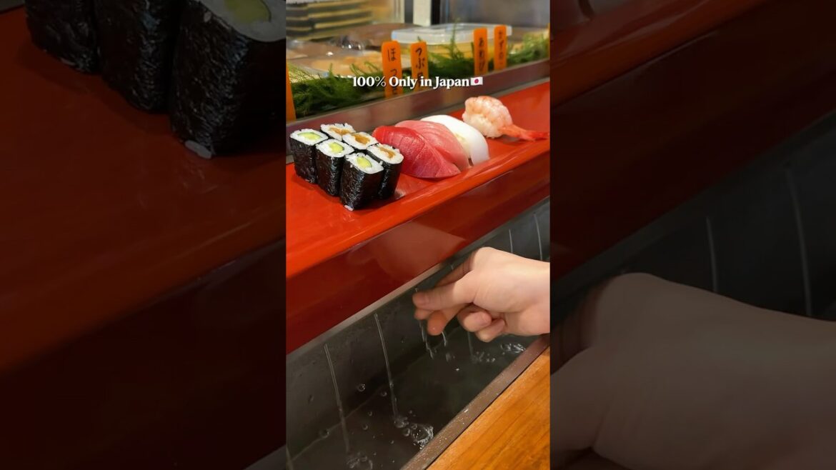 100% Only in Japan🇯🇵