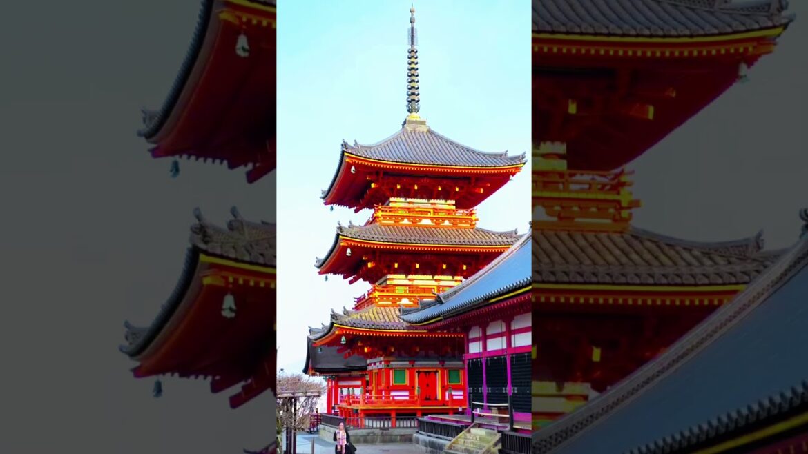 📍Kyoto, Japan 🇯🇵#japan #visitjapan #japanesculture